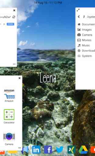 Leena Desktop UI (Pro) 4