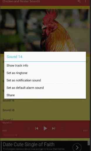 Chicken Rooster Sounds 3