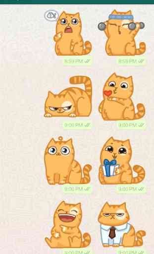 Cute Cat Stickers - WAStickerApps 3