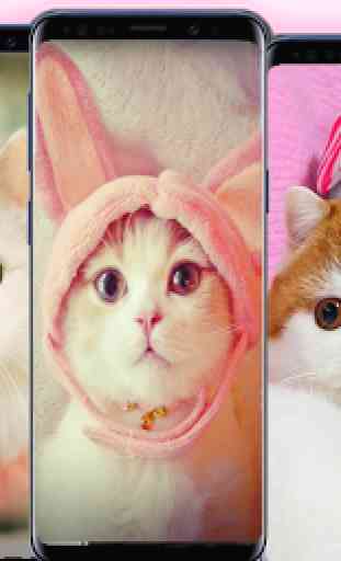 cute cats Wallpaper 4