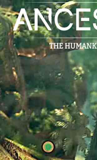 guide for ancestors the humankind odyssey 2