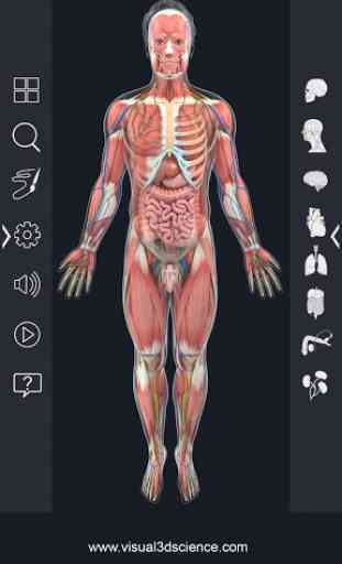 Human Anatomy Pro 2