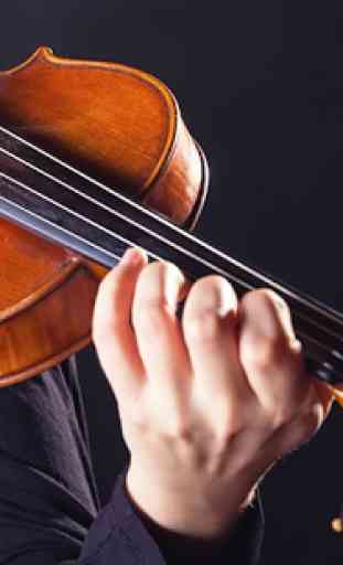 Impara a suonare il violino. Corso di violino 1