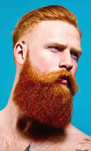 Men Beard Styles 2