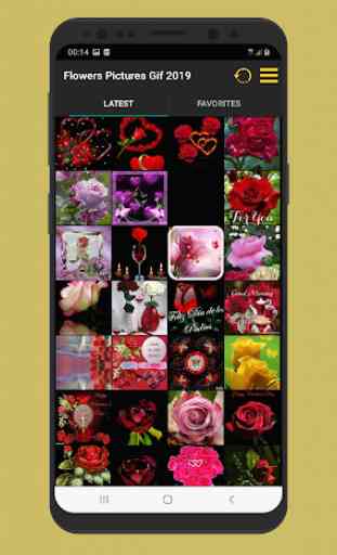 Meravigliose immagini di fiori rose Gif 2
