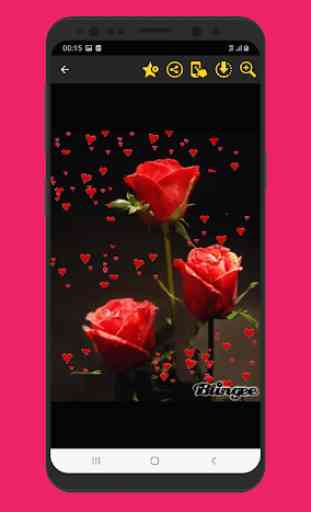 Meravigliose immagini di fiori rose Gif 3