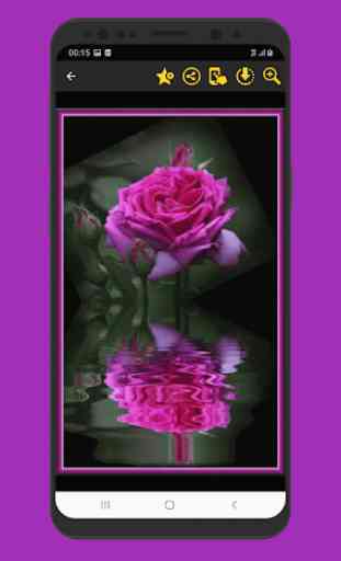 Meravigliose immagini di fiori rose Gif 4