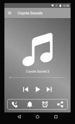 Coyote Sounds 2