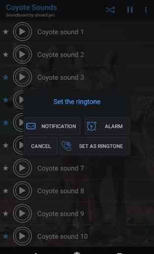 Coyote Sounds ~ Sboard.pro 3