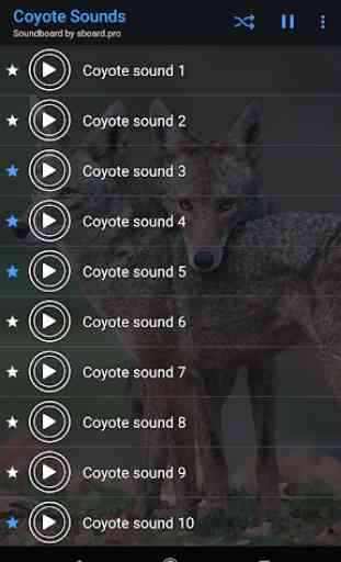 Coyote Sounds ~ Sboard.pro 4