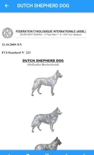 Dog Breeds Recognized by FCI 4