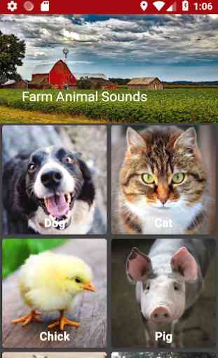 Farm Animal Sounds 1