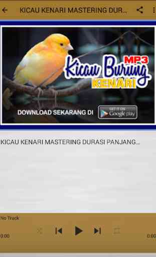 MP3 KICAU BURUNG KENARI 3