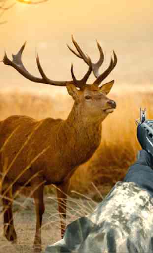 Wild Animal Hunter 3D Sniper Game 3