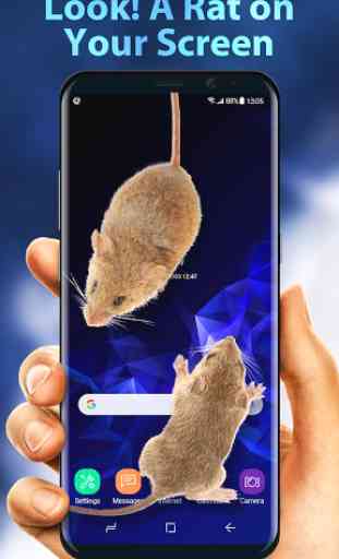 3D Rat on Screen Live Wallpaper & Prank Launcher 1