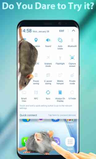 3D Rat on Screen Live Wallpaper & Prank Launcher 2