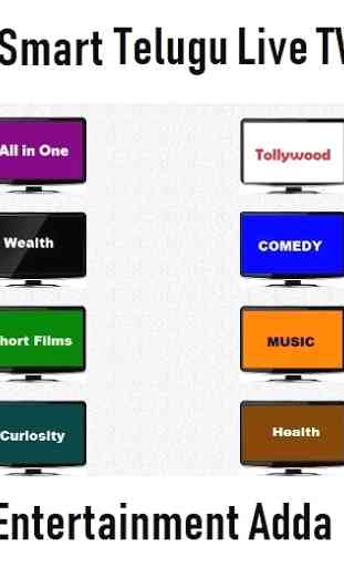 Popular Telugu Live TV News Channels 2