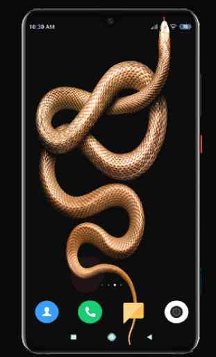 Snake Wallpaper HD 3