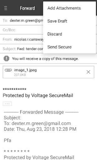Voltage Mail for BlackBerry 4