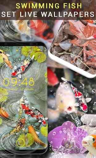 Carta da parati 3D pesce koi 2019 2