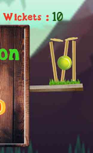 Cricket Ball : New Cricket Game 4