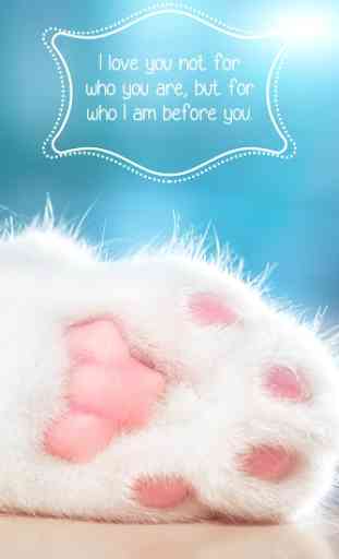 Cute Kitty Font for FlipFont,Cool Fonts Text 1