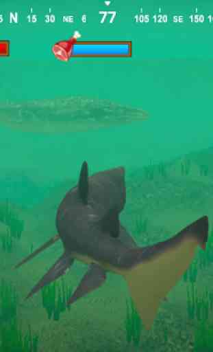 Helicoprion parlante 2