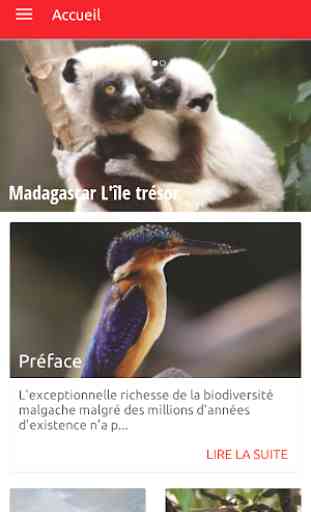 Madagascar L'Île trésor 1