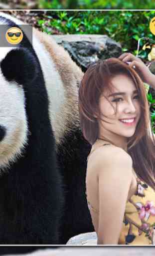Panda Photo Editor 4