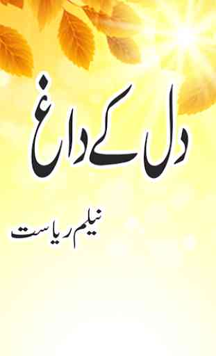 romanzo urdu romantico dil ky dhag di neelam 2