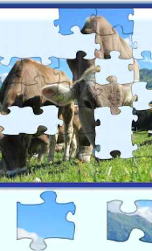 Jigsaw puzzle giochi gratuiti 3