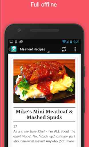 100 ++ Meatloaf recipes 3