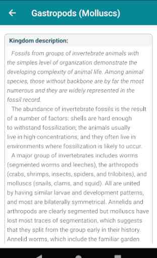 Fossils - Handbook of Fossils 4