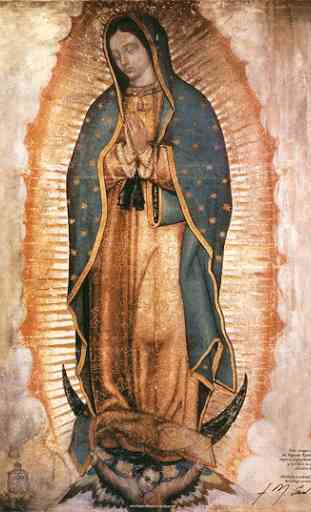 La Rosa de Guadalupe 1