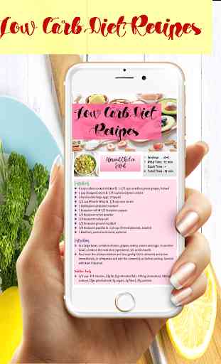 Low Carb Diet Recipes 2