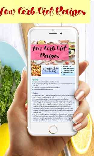 Low Carb Diet Recipes 3