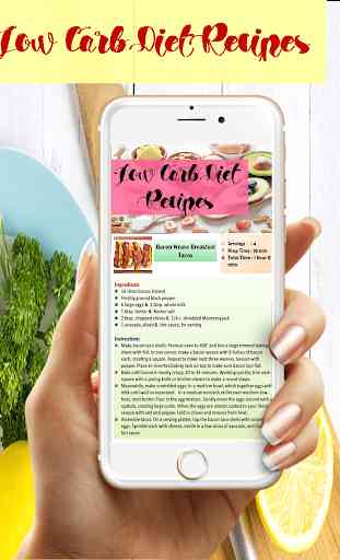 Low Carb Diet Recipes 4