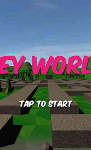 Mazey World 3D - Maze Game 1