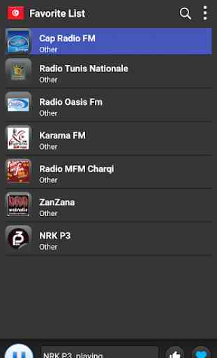 Radio Tunisia - AM FM Online 3