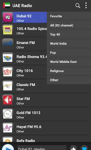 Radio UAE  - AM FM Online 2