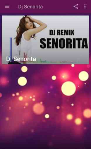 Senorita Dj Remix Mp3 Offline 2