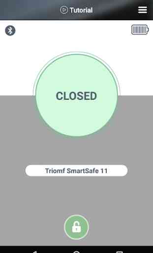 Triomf Smart Safe 2