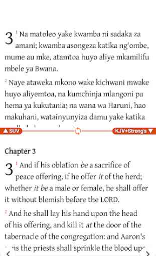 Biblia Takatifu Swahili  Bible 4