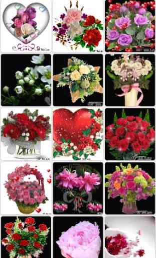 Flowers GIF : Flower Stickers For Whatsapp 1