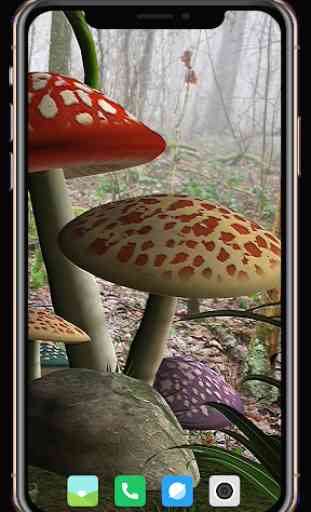 HD Mushroom Wallpaper 4