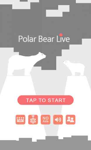 Polar Bear Live 1