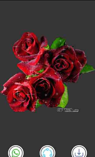 Rose GIF : Rose Stickers for Whatsapp & Flower GIF 3