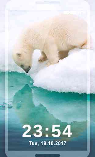 Sfondi di Foto di Orso Polare Bianco 3