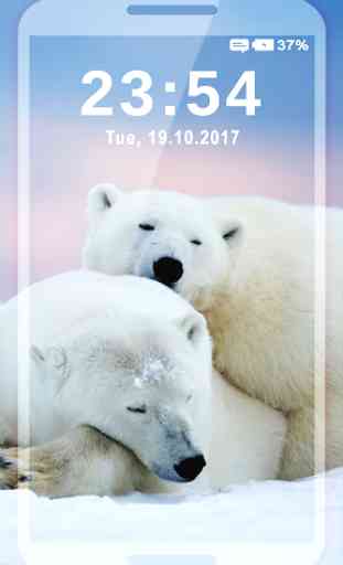Sfondi di Foto di Orso Polare Bianco 4