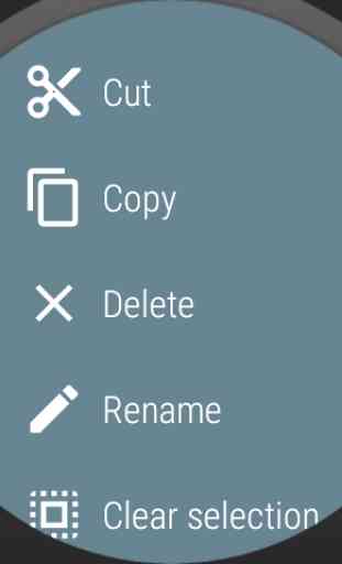 Wear File Manager - beta 2